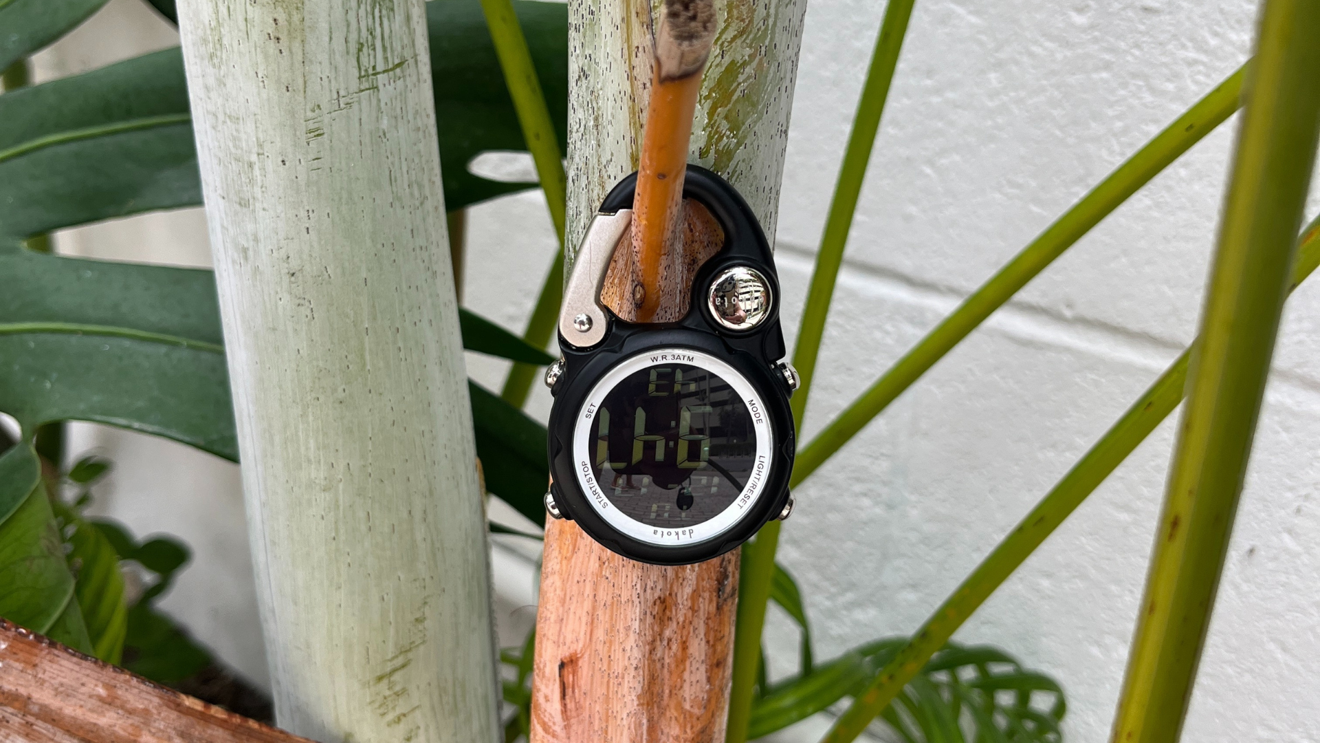 Dakota Watches: 70 Years of Rugged Adventure