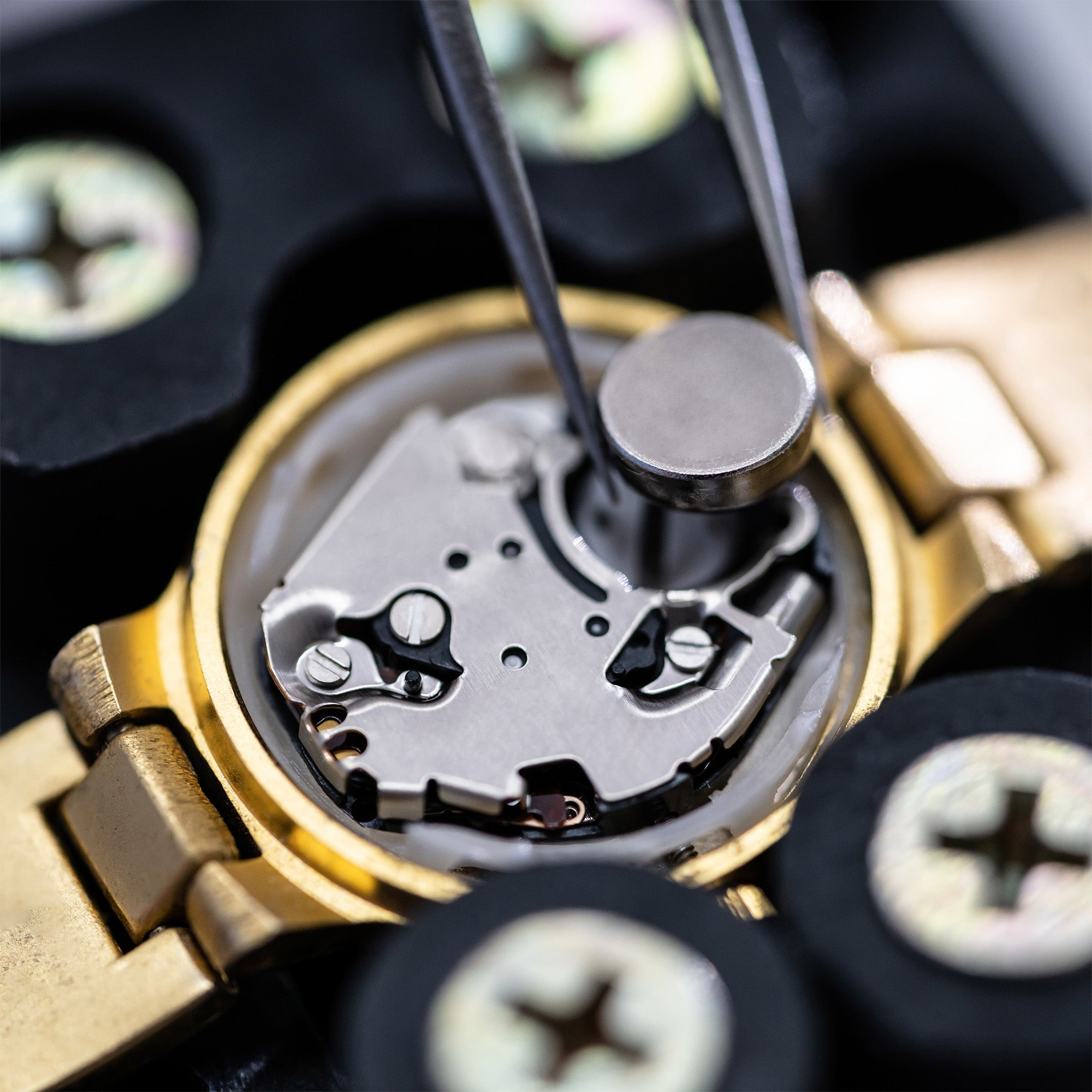 A gold wristwatch rests in a black adjustable holder fitted with yellow-zinc screws, its caseback removed to reveal the inner workings. Fine silver tweezers lower a round button-cell battery toward the exposed quartz movement, where the silver movement plate, brass gears, and tiny screws sit in sharp detail. The softly blurred background keeps full attention on this careful, hands-on repair.