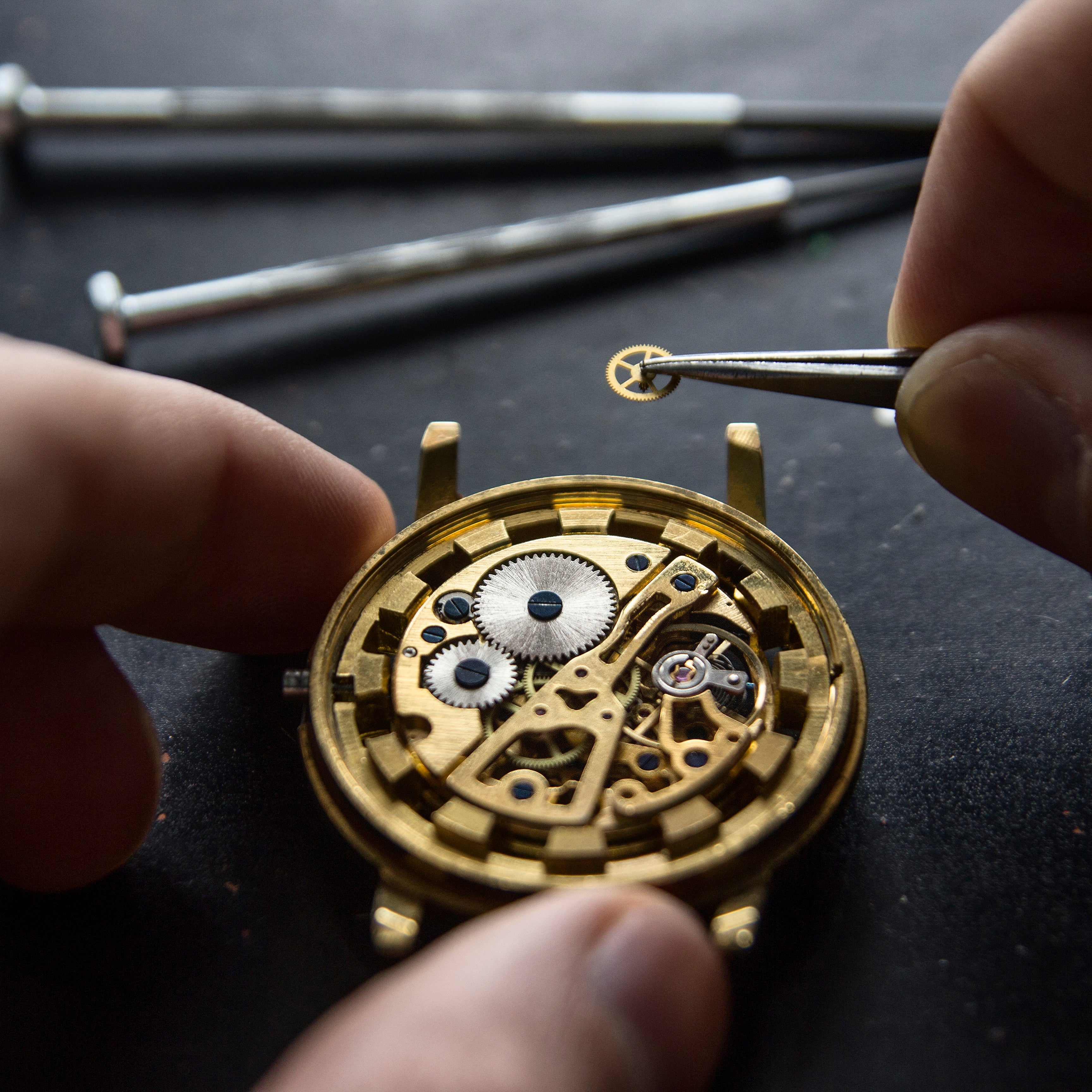Close-up of a watchmaker's hands assembling a gold-toned mechanical watch movement, using tweezers to place a tiny component onto a watch case over a dark workbench.