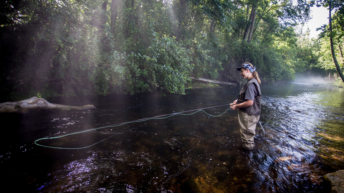 Fly Fishing Hatch Timing: The Complete Angler's Guide