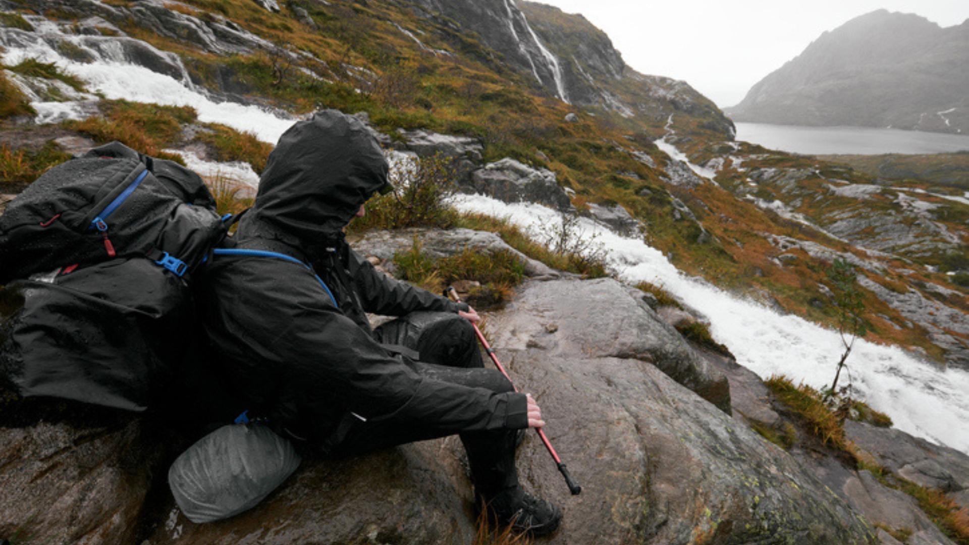 Adventures with Dakota: From Mountains to Oceans
