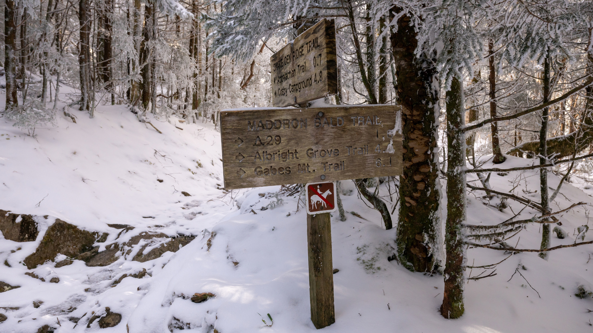 Appalachian Trail Thru-Hiking Gear Essentials: Gear for the Long Haul